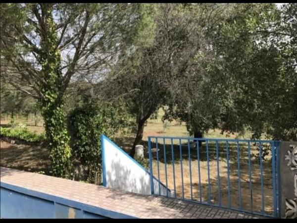 Terreno en Pilar de Cartajima, carril Barrio San Francisco s/n