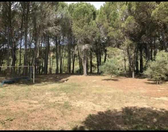 Terreno en Pilar de Cartajima, carril Barrio San Francisco s/n