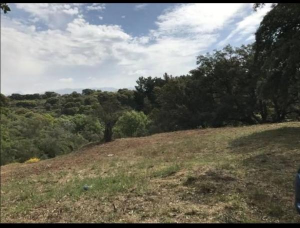 Terreno en Pilar de Cartajima, carril Barrio San Francisco s/n