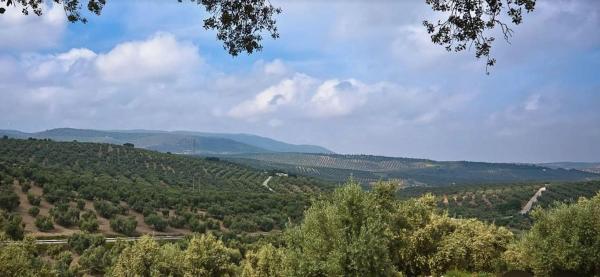 Terreno en calle Arenal, 6