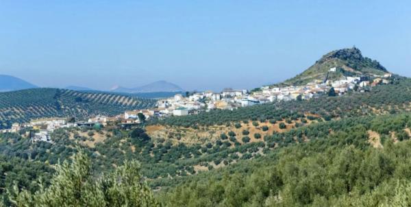 Terreno en calle Arenal, 6