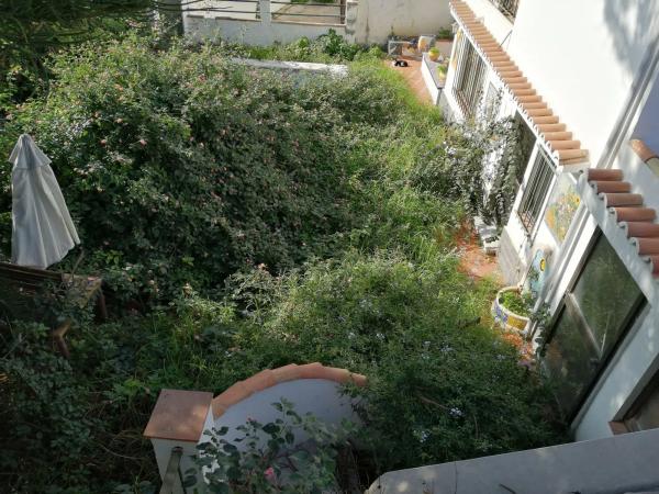 Terreno en calle Lucena s/n