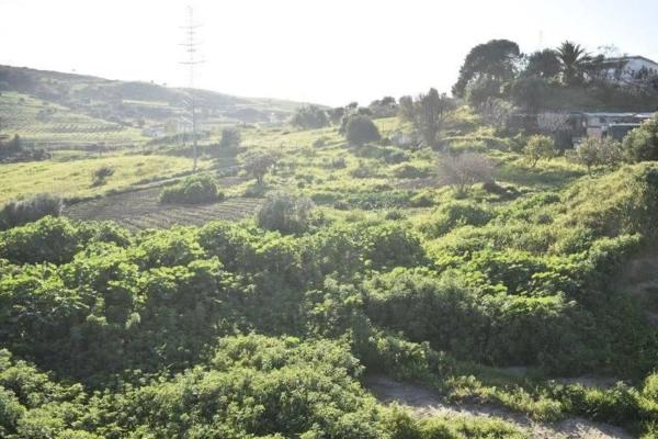 Terreno en Casares Golf - Casares del Sol