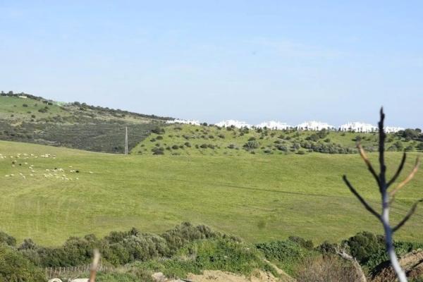 Terreno en Casares Golf - Casares del Sol