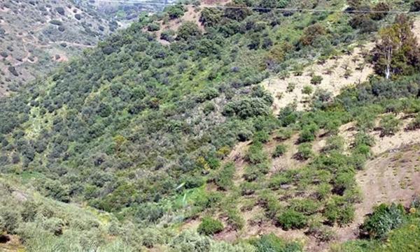 Terreno en calle de Alcuzas