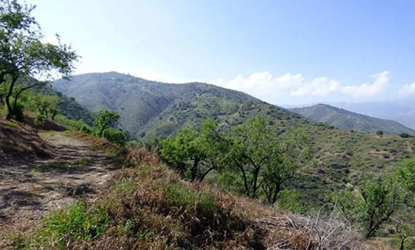 Terreno en calle de Alcuzas