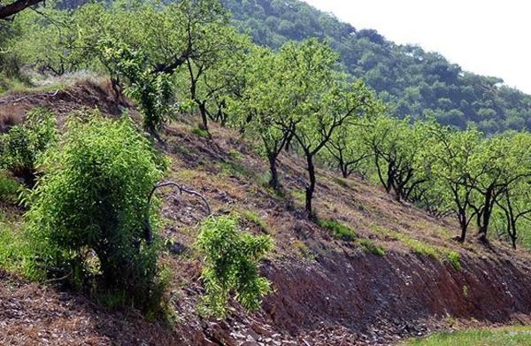 Terreno en Paraje Romo s/n