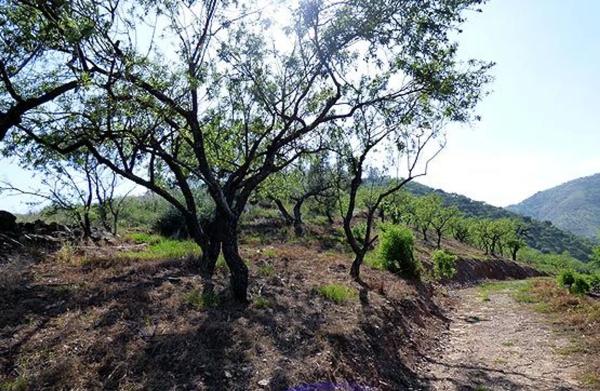 Terreno en Paraje Romo s/n