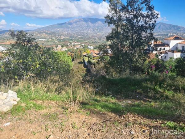 Terreno en camino del Olivo