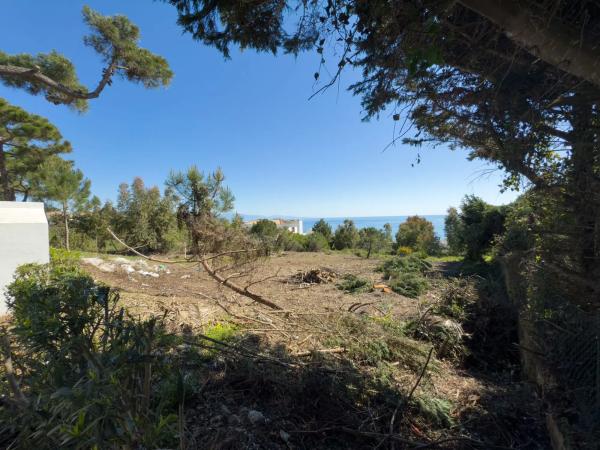 Terreno en calle Tubalitas, 166