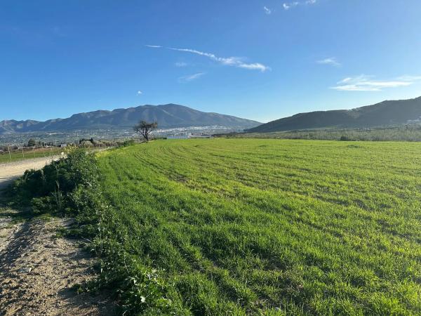 Terreno en Partida Chozones, 5 a