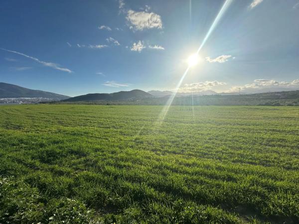 Terreno en Partida Chozones, 5 a