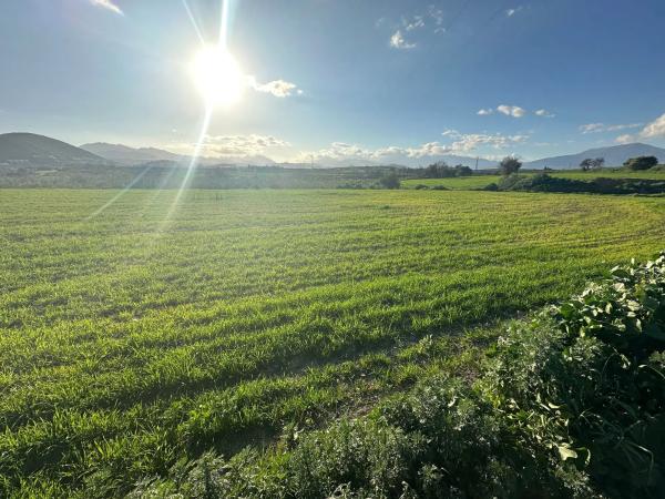 Terreno en Partida Chozones, 5 a