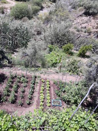 Terreno en Barrio Pinares de San Antón