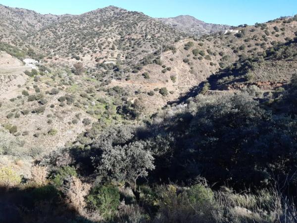 Terreno en Barrio Pinares de San Antón