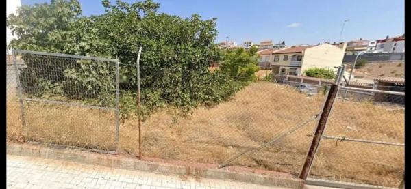 Terreno en Barrio San Alberto - La Alcubilla - Florisol