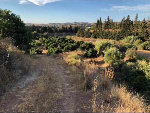 Terreno en camino Entrerrios