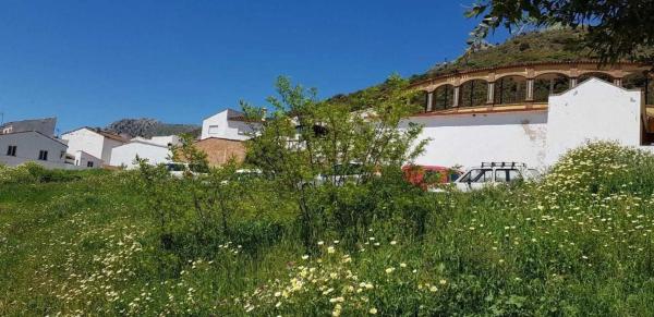 Terreno en avenida Acacias, 6