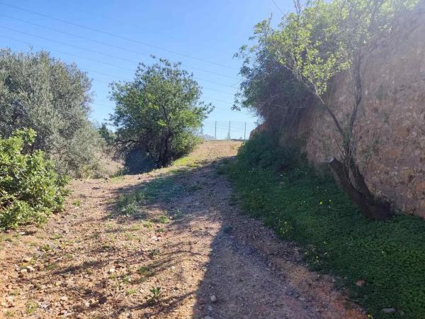 Terreno en Barrio Fuente Alegre - El Chaparral - Los Morales