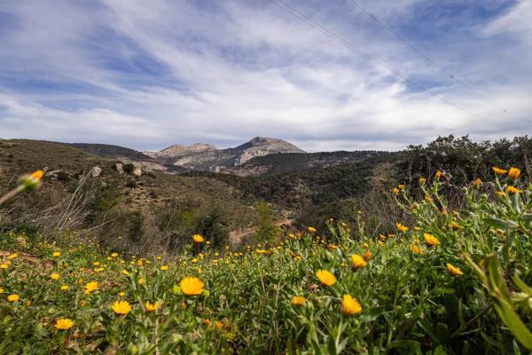 Terreno en Poligono 9