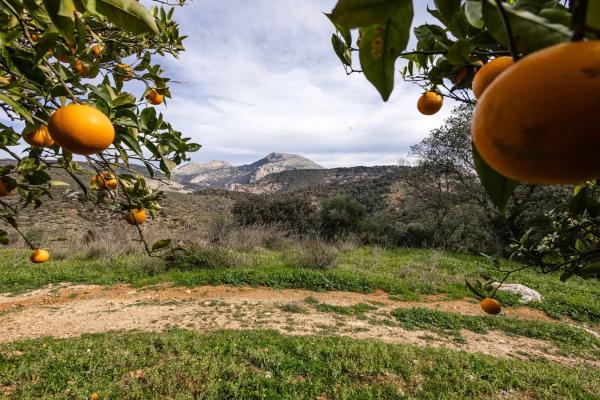 Terreno en Poligono 9