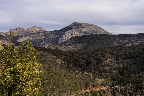 Terreno en Poligono 9