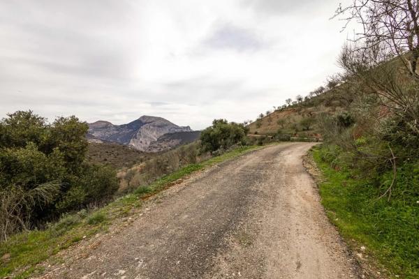 Terreno en Poligono 9