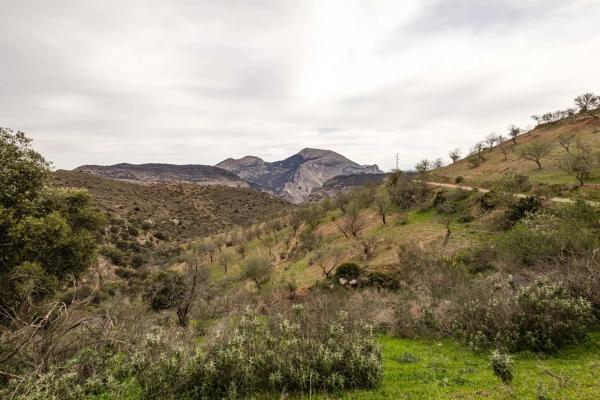 Terreno en Poligono 9