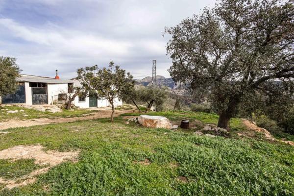 Terreno en Poligono 9