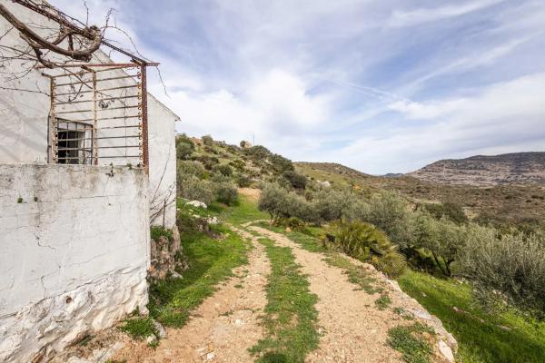 Terreno en Poligono 9
