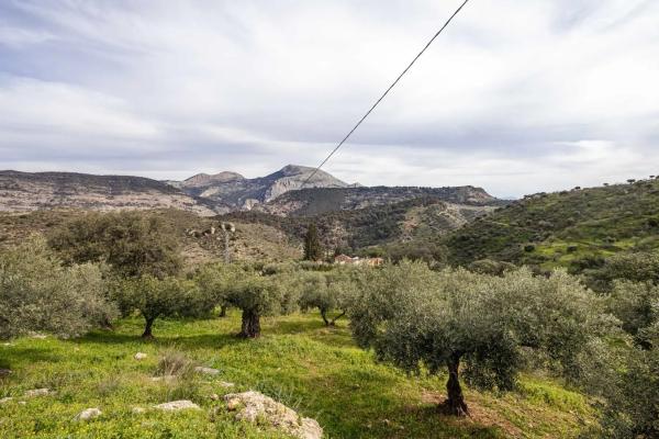 Terreno en Poligono 9