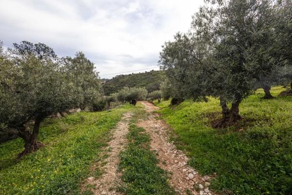 Terreno en Poligono 9