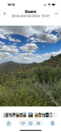 Terreno en Diseminados s/n