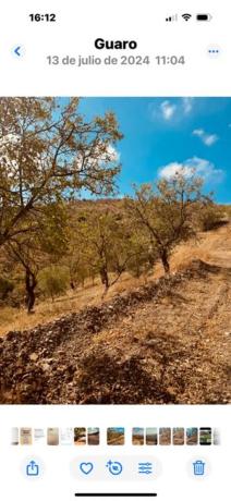 Terreno en Diseminados s/n