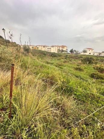 Terreno en Las Adelfas. "El Peñoncillo"