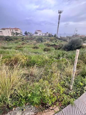 Terreno en Las Adelfas. "El Peñoncillo"