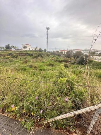 Terreno en Las Adelfas. "El Peñoncillo"