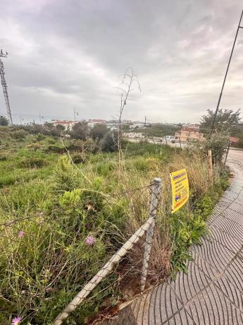 Terreno en Las Adelfas. "El Peñoncillo"