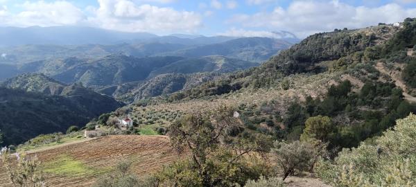 Terreno en A-366, km 40