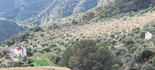 Terreno en A-366, km 40