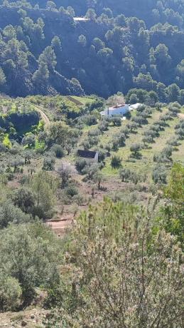 Terreno en A-366, km 40