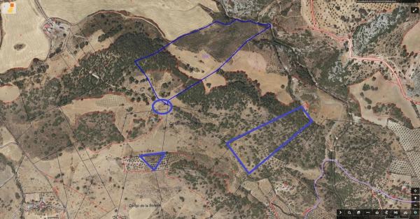 Terreno en avenida de Blas Infante