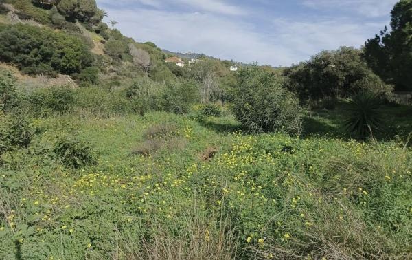 Terreno en paseo de Austria s/n