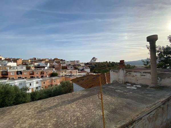 Terreno en calle la Paz, 9