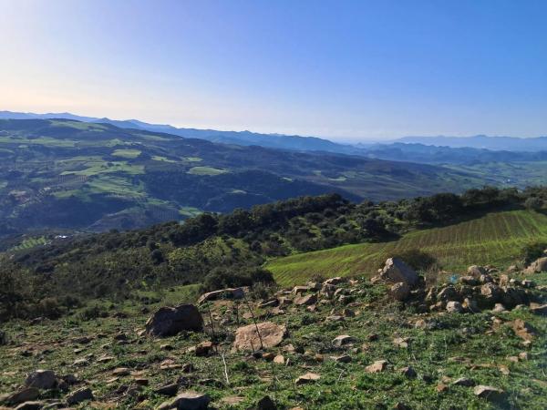 Terreno en avenida de Blas Infante