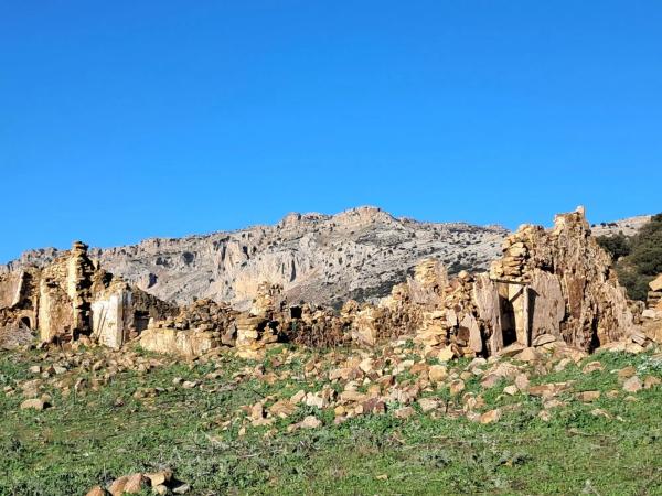 Terreno en avenida de Blas Infante