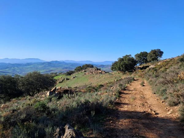 Terreno en avenida de Blas Infante