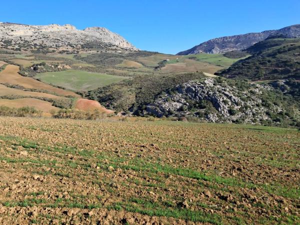 Terreno en avenida de Blas Infante