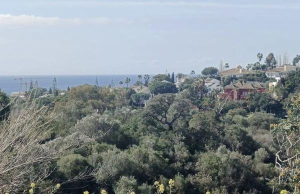 Terreno en paseo de Austria s/n