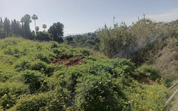 Terreno en paseo de Austria s/n